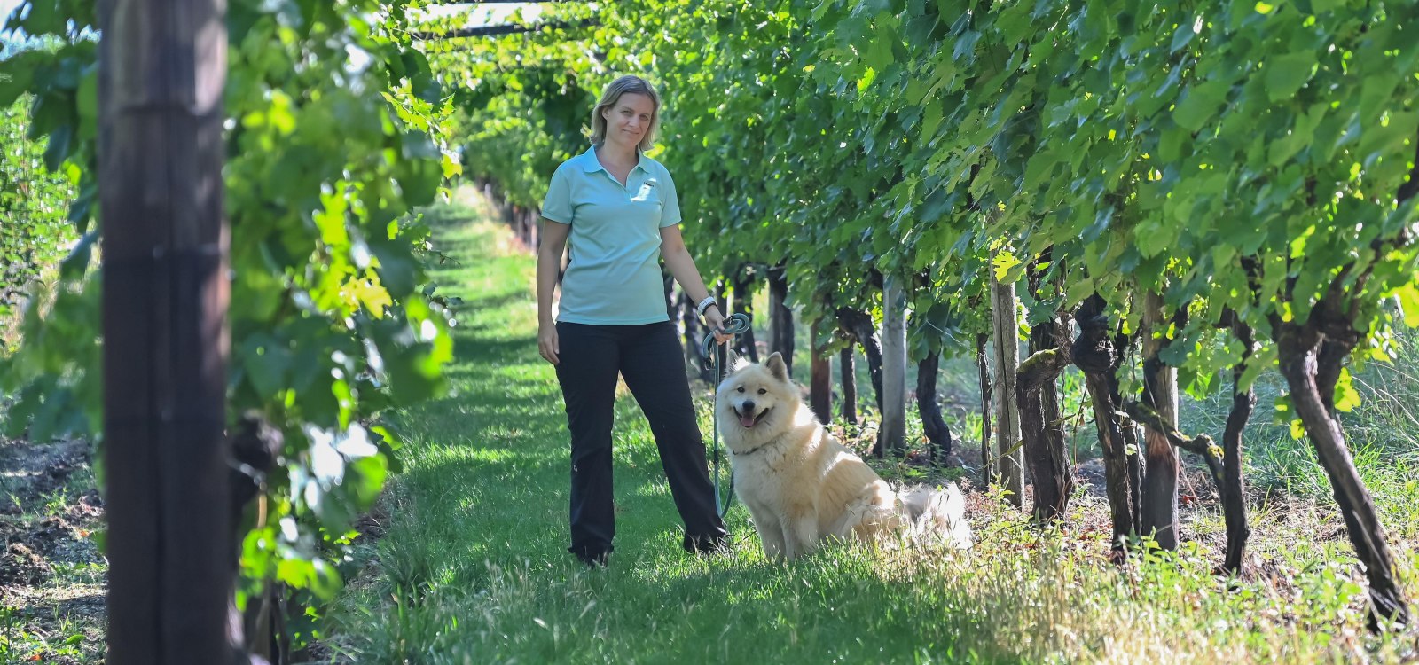 Weinlaube, © Verbandsgemeinde Gau-Algesheim, Foto: Andreas Pacek Weinlaube, © Verbandsgemeinde Gau-Algesheim, Foto: Andreas Pacek