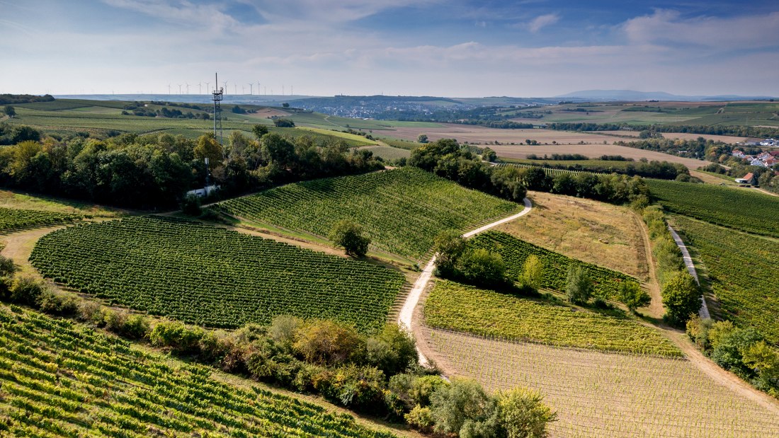 Albiger Schloss Hammerstein Albiger Schloss Hammerstein