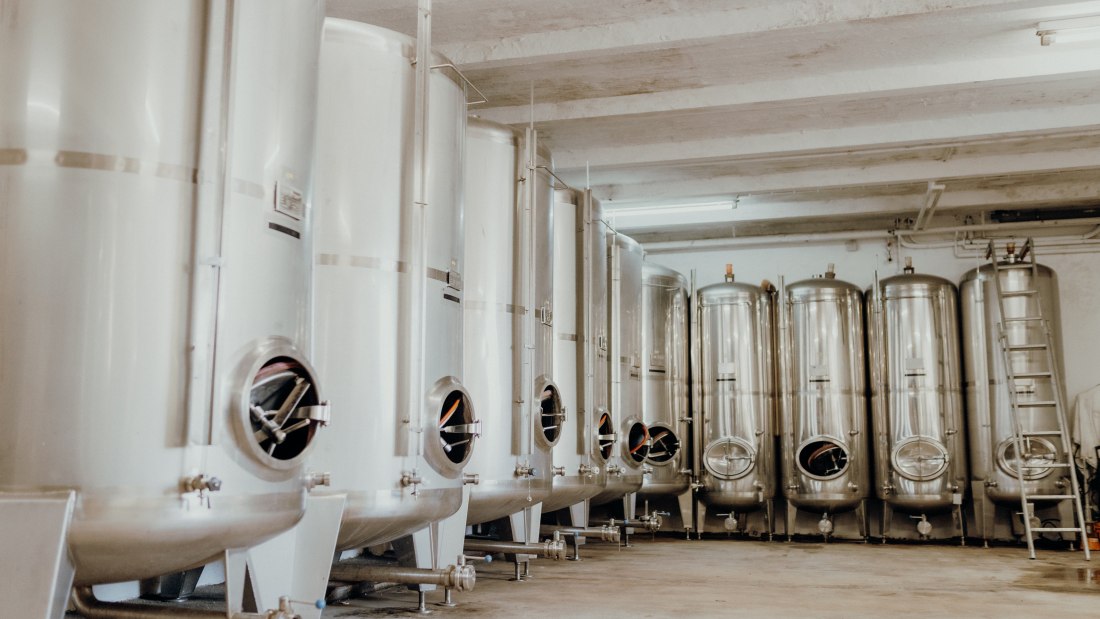 Weingut Kleemann_Keller, © Julia Hess Fotografie Weingut Kleemann_Keller, © Julia Hess Fotografie