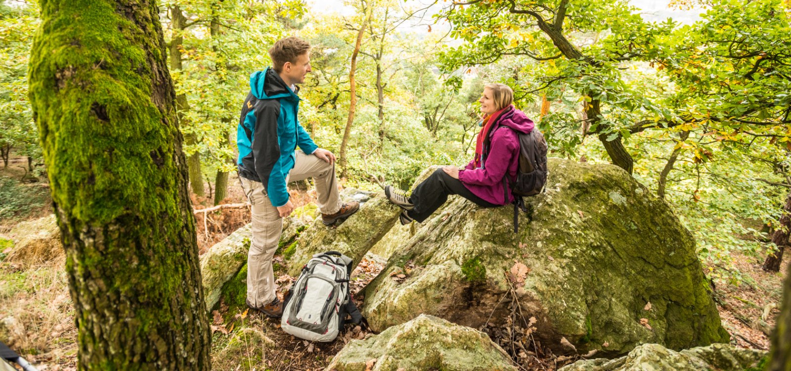felsen-auf-dem-eichelberg_hiwweltour-eichelberg_1 felsen-auf-dem-eichelberg_hiwweltour-eichelberg_1