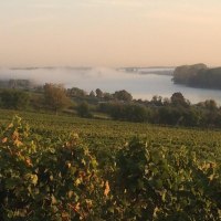Roter Hang Nierstein © Weingut Schneider Müller Roter Hang Nierstein © Weingut Schneider Müller