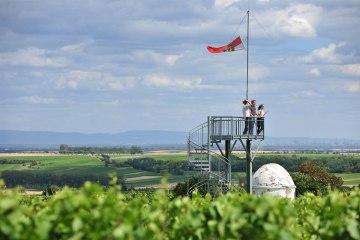 Aussichtturm Flörsheim-Dalsheim Aussichtturm Flörsheim-Dalsheim