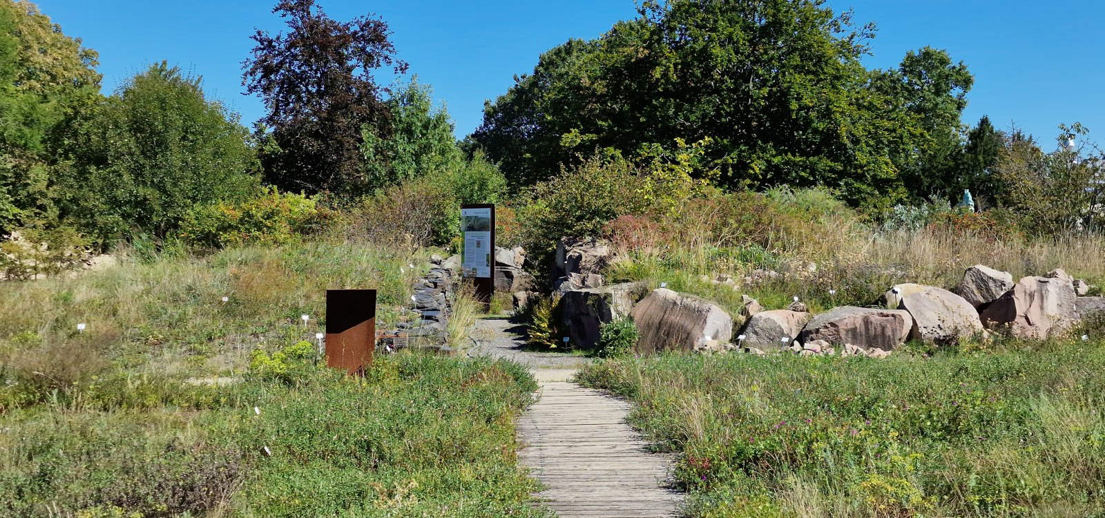 Botanischer Garten Mainz, © CC0 4.0 Katja Zentel Botanischer Garten Mainz, © CC0 4.0 Katja Zentel
