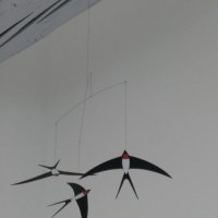 ein Platz für Schwalben © Schäffer Weinolsheim ein Platz für Schwalben © Schäffer Weinolsheim