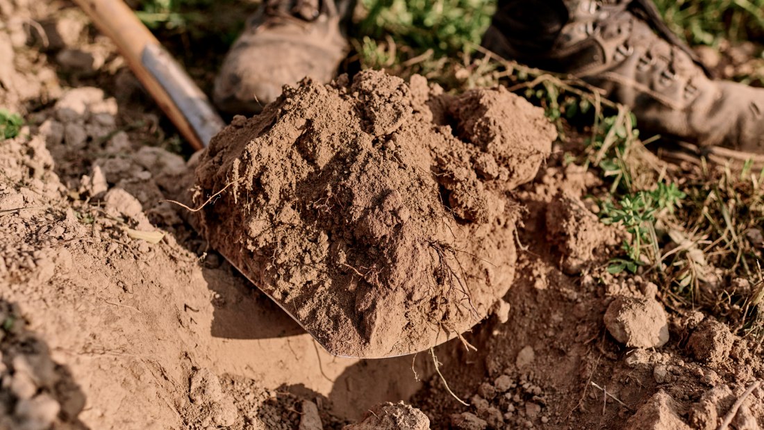 Weingut Sander_Lebendiger Boden, © Weingut Sander Weingut Sander_Lebendiger Boden, © Weingut Sander