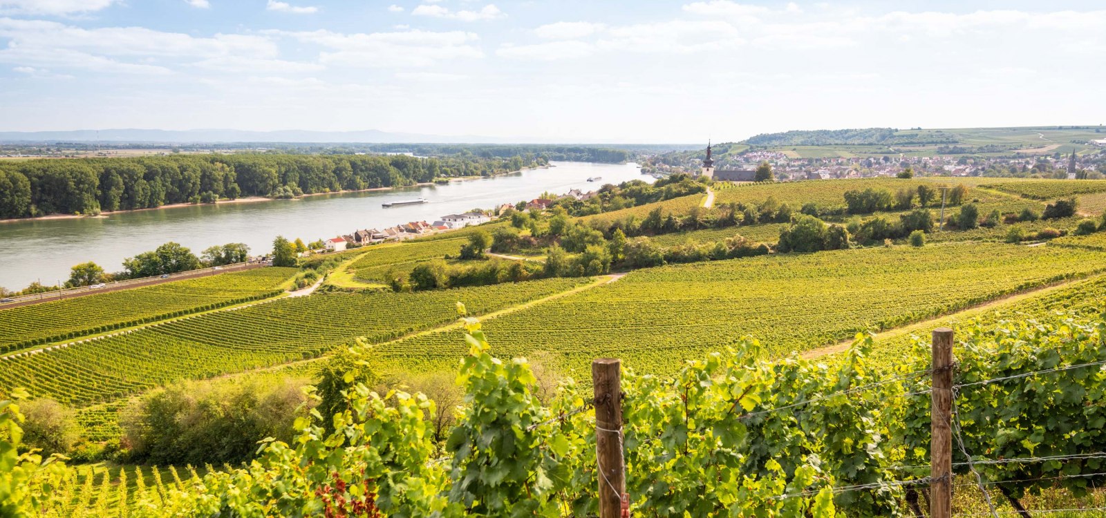 Ausblick am Roten Hang, © Dominik Ketz l RPT Ausblick am Roten Hang, © Dominik Ketz l RPT