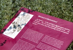 Hildegarten am Msuem am Strom © Rheinhessen-Touristik Hildegarten am Msuem am Strom © Rheinhessen-Touristik