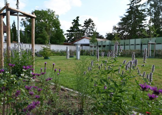 Wohnmobilstellplatz Weingut Schales © Weingut Schales Wohnmobilstellplatz Weingut Schales © Weingut Schales