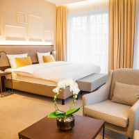 Junior Suite 2026 PK Junior Suite 2026 PK