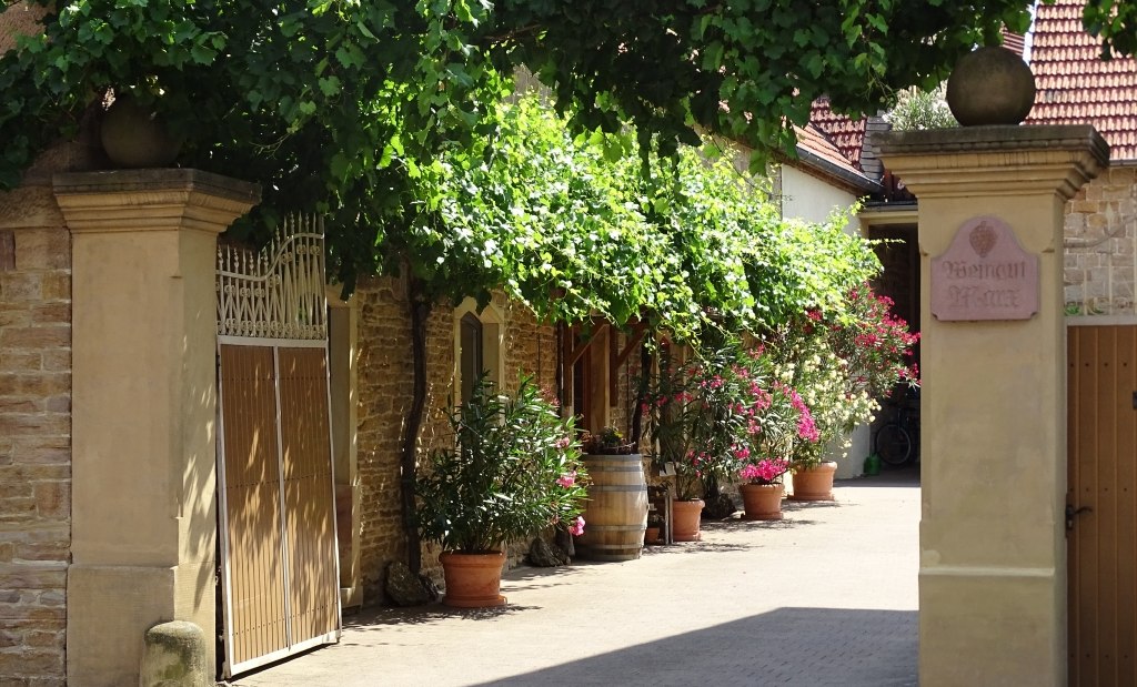 Weingut Marx_Hofeinfahrt, © Weingut Marx Weingut Marx_Hofeinfahrt, © Weingut Marx