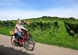 Auf dem Zellertal-Radweg Auf dem Zellertal-Radweg