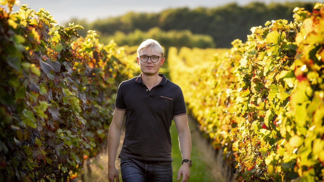 J. Trautwein feine Weine_Winzer Herbst, © Fotografie Torsten Silz J. Trautwein feine Weine_Winzer Herbst, © Fotografie Torsten Silz