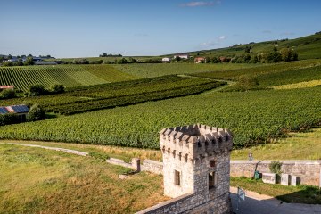 Bodenheimer Burgweg Bodenheimer Burgweg