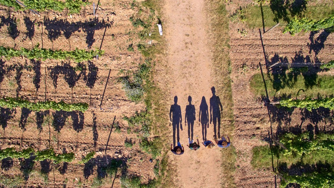 Weingut Laubenstein_Schatten, © Weingut Laubenstein Weingut Laubenstein_Schatten, © Weingut Laubenstein