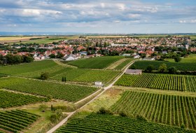 Westhofener Steingrube Westhofener Steingrube