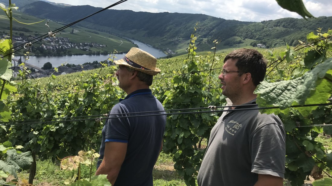 Weingut Fischborn Bergeshof_Weinberge, © Weingut Fischborn Bergeshof Weingut Fischborn Bergeshof_Weinberge, © Weingut Fischborn Bergeshof