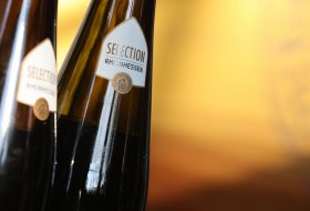 Selection Rheinhessen Selection Rheinhessen