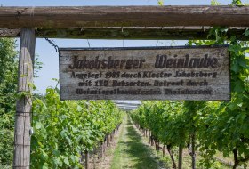 Weinlaube Schild © Verbandsgemeinde Gau-Algesheim, Andreas Pacek Weinlaube Schild © Verbandsgemeinde Gau-Algesheim, Andreas Pacek