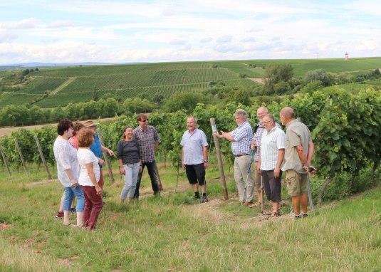Weinberg-Spaziergang © Angelika Friedrich Weinberg-Spaziergang © Angelika Friedrich