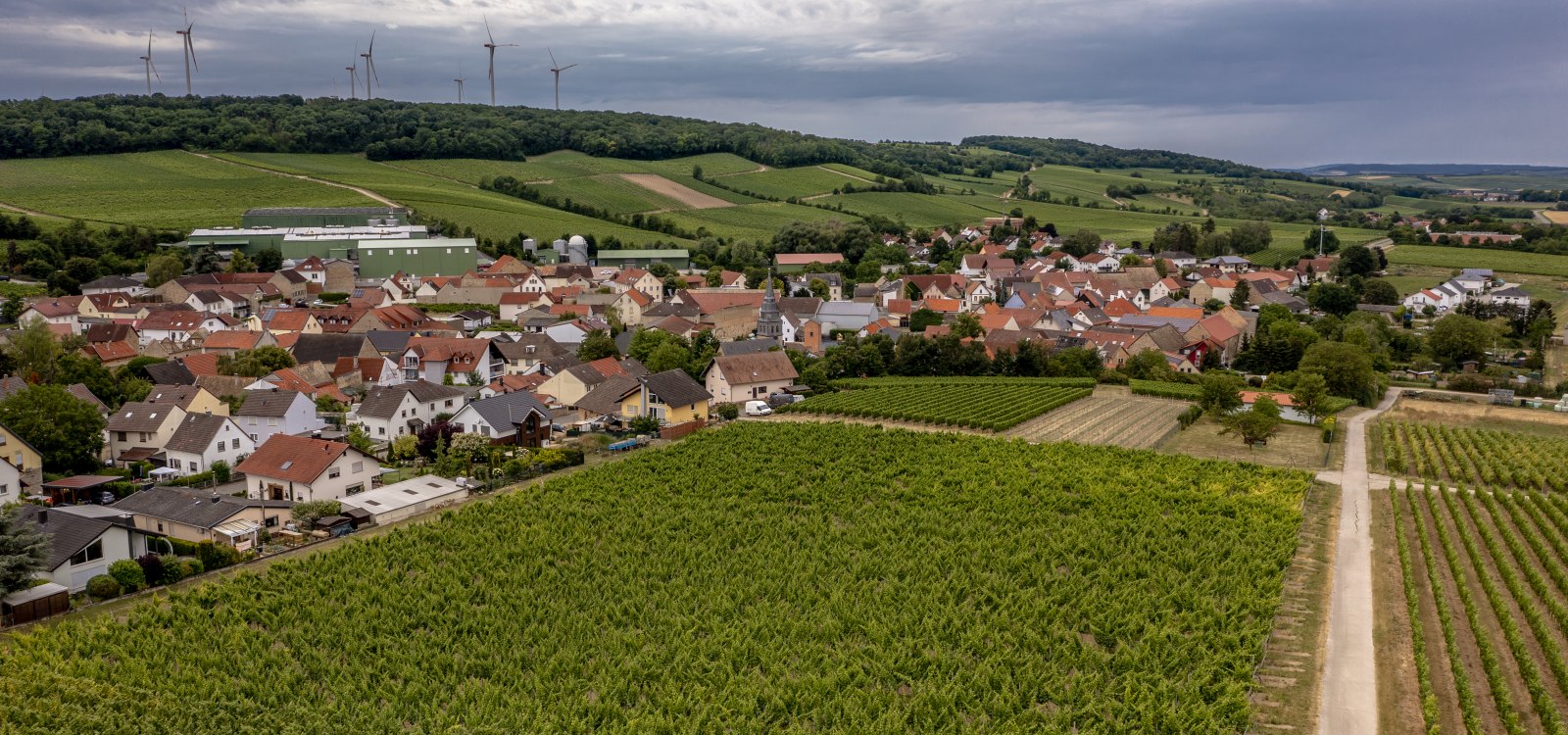 Lonsheimer Mandelberg Lonsheimer Mandelberg
