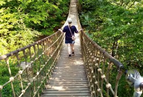 Hängebrücke-Binger-Wald-Baumgeistertour Hängebrücke-Binger-Wald-Baumgeistertour