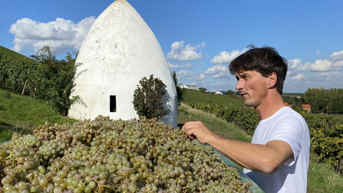Weingut Bäder_Winzer mit Trullo, © Weingut Bäder Weingut Bäder_Winzer mit Trullo, © Weingut Bäder
