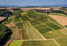 Gau-Algesheimer St. Laurenzi-Kapelle Gau-Algesheimer St. Laurenzi-Kapelle