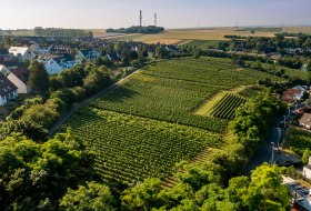 Hechtsheimer Kirchenstück Hechtsheimer Kirchenstück