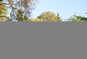 mainzer-weinmarkt-titel mainzer-weinmarkt-titel