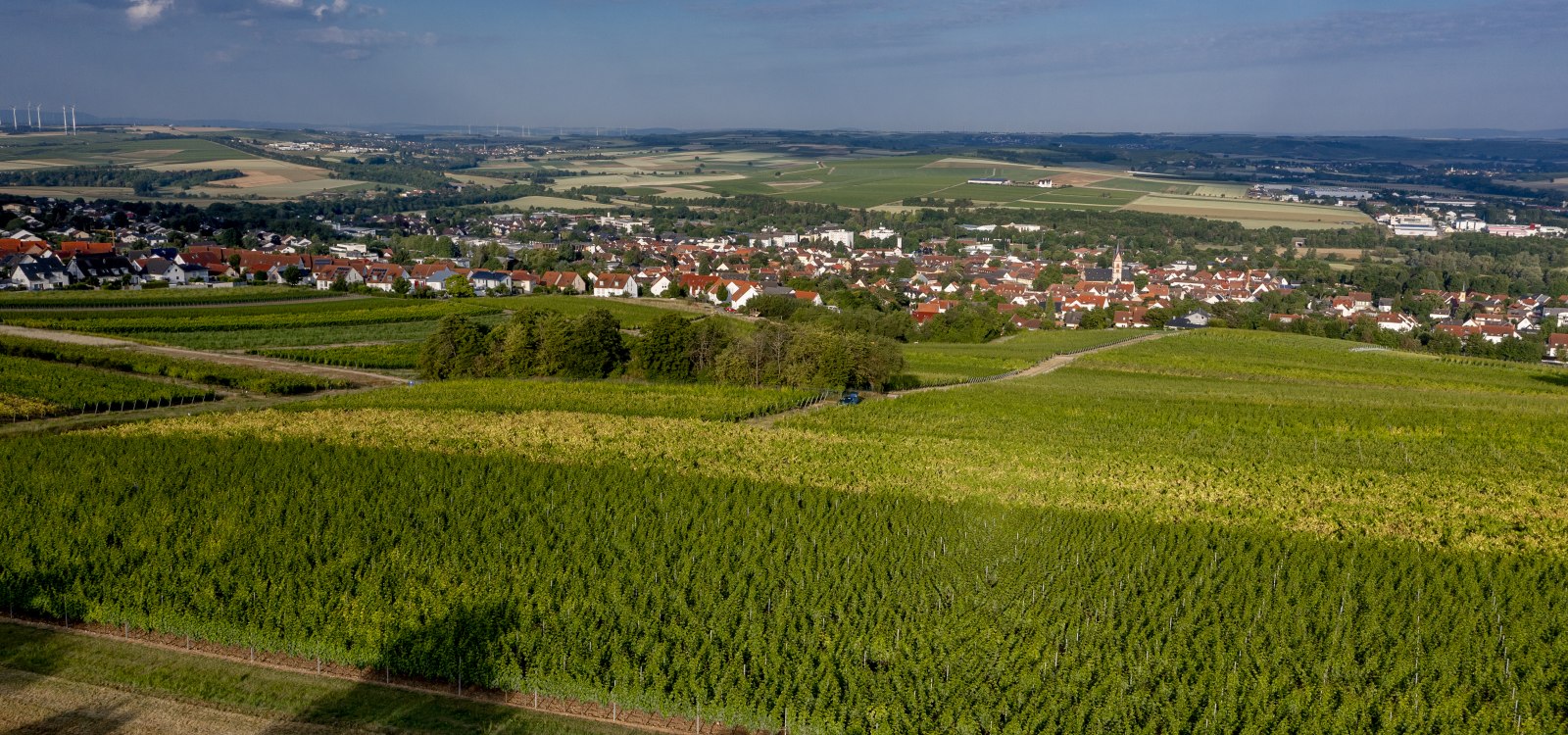 Nieder-Olmer Klosterberg Nieder-Olmer Klosterberg