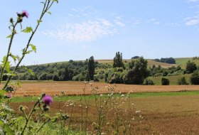 Weite Blicke ins Appelbachtal Weite Blicke ins Appelbachtal