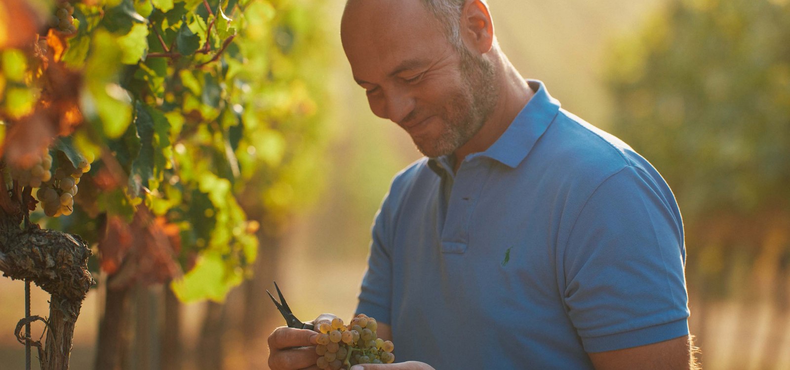 Weingut Dr. Koehler_Christian Dreißigacker, © Weingut Dr. Koehler Weingut Dr. Koehler_Christian Dreißigacker, © Weingut Dr. Koehler