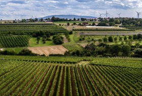Ober-Flörsheimer Blücherpfad Ober-Flörsheimer Blücherpfad