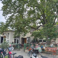 Rheinhof Guntersblum Biergarten unter der Kastanie © Rheinhessen-Touristik GmbH Rheinhof Guntersblum Biergarten unter der Kastanie © Rheinhessen-Touristik GmbH