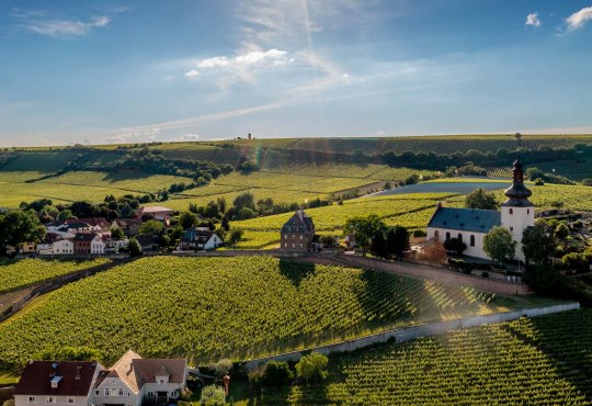 Weinlage Niersteiner Glöck bei Sonnenuntergang. Oberhalb der Weinlage liegt die Kilianskirche, eine Sehenswürdigkeit in Nierstein, © Torsten Silz Weinregion Rheinhessen. Weinlage Niersteiner Glöck