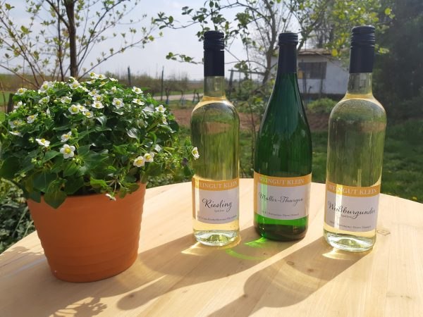 weingut_klein_mainz_hechtsheim_03_1, © Weingut Klein weingut_klein_mainz_hechtsheim_03_1, © Weingut Klein