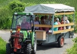 Weinbergsrundfahrt, © Weingut am Honigberg Weinbergsrundfahrt, © Weingut am Honigberg