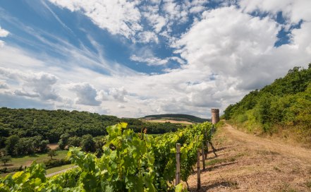 Ajaxturm auf der Hiwweltour Heideblick, © Dominik Ketz Ajaxturm auf der Hiwweltour Heideblick, © Dominik Ketz
