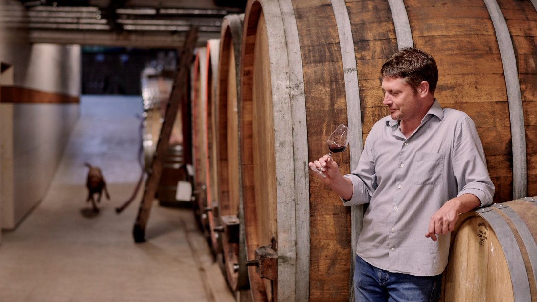 © Weingut Sander © Weingut Sander