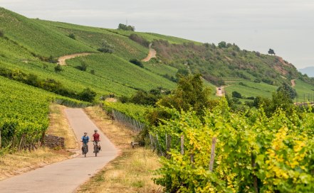 Rheinradweg an der Rheinterrasse, © Dominik Ketz Rheinradweg an der Rheinterrasse, © Dominik Ketz