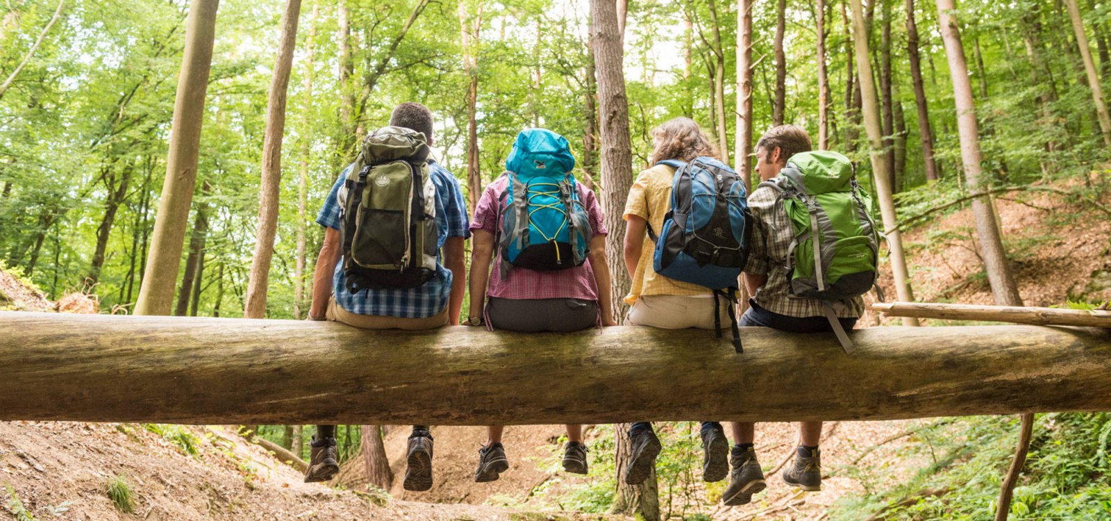 Wanderer auf der Baumgeister Tour, © Dominik Ketz Wanderer auf der Baumgeister Tour, © Dominik Ketz