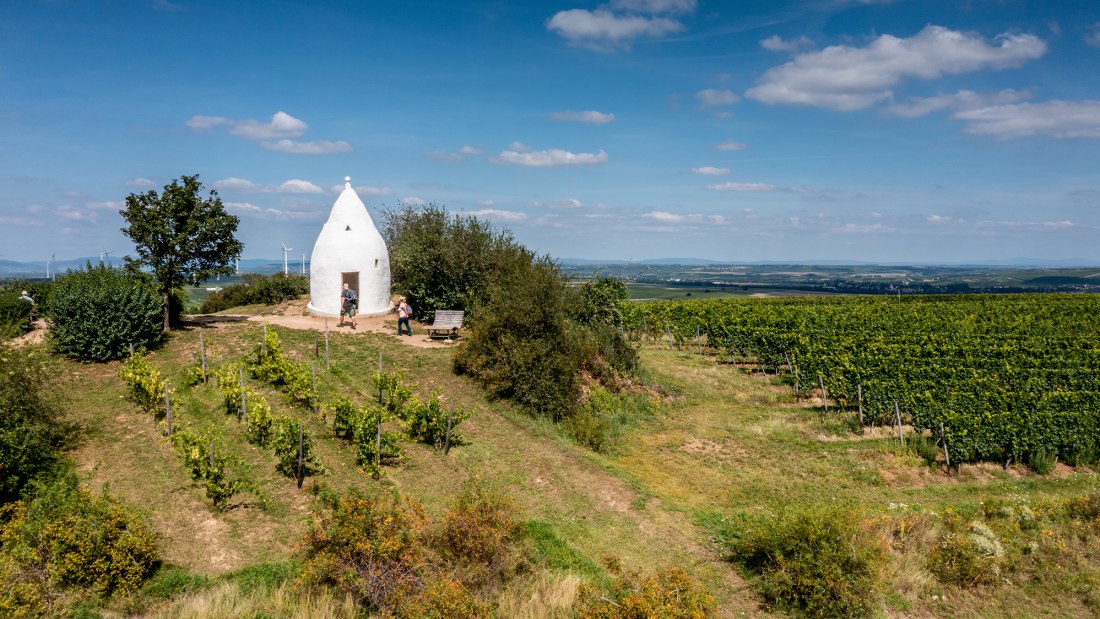 Flonheimer Rotenpfad, © Rheinhessenwein e.V./Torsten Silz Flonheimer Rotenpfad, © Rheinhessenwein e.V./Torsten Silz
