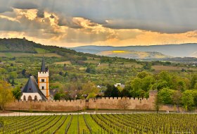 Weinmeile - Sonniger Erlebnispfad rund um den Wein und Weinanbau © Rainer Oppenheimer Weinmeile - Sonniger Erlebnispfad rund um den Wein und Weinanbau © Rainer Oppenheimer