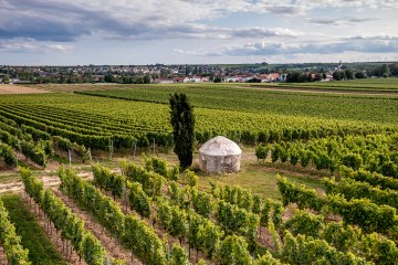 Westhofener Aulerde Westhofener Aulerde