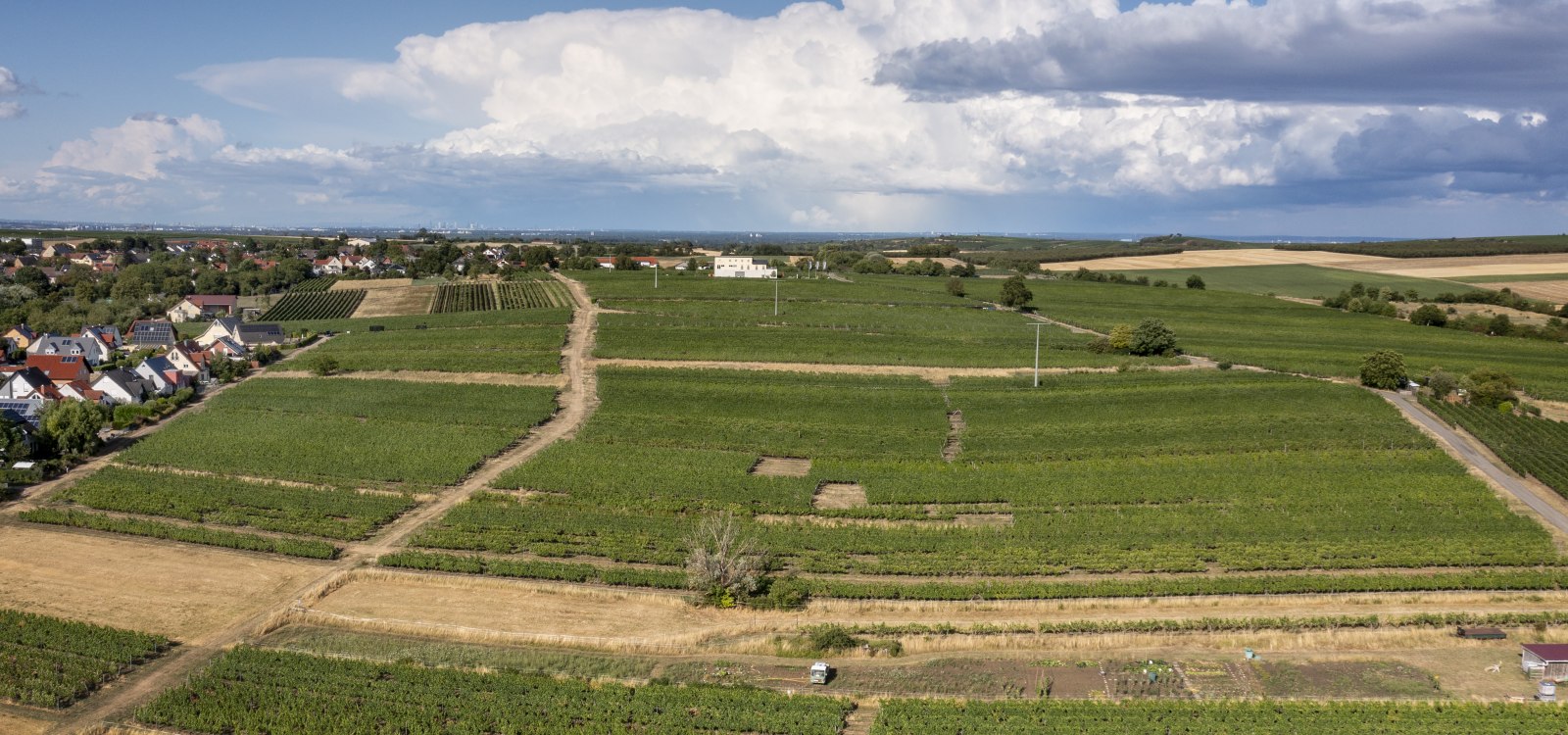 Lörzweiler Königstuhl Lörzweiler Königstuhl