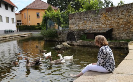 Seebachquelle, Westhofen, © Heidrun Braun Seebachquelle, Westhofen, © Heidrun Braun