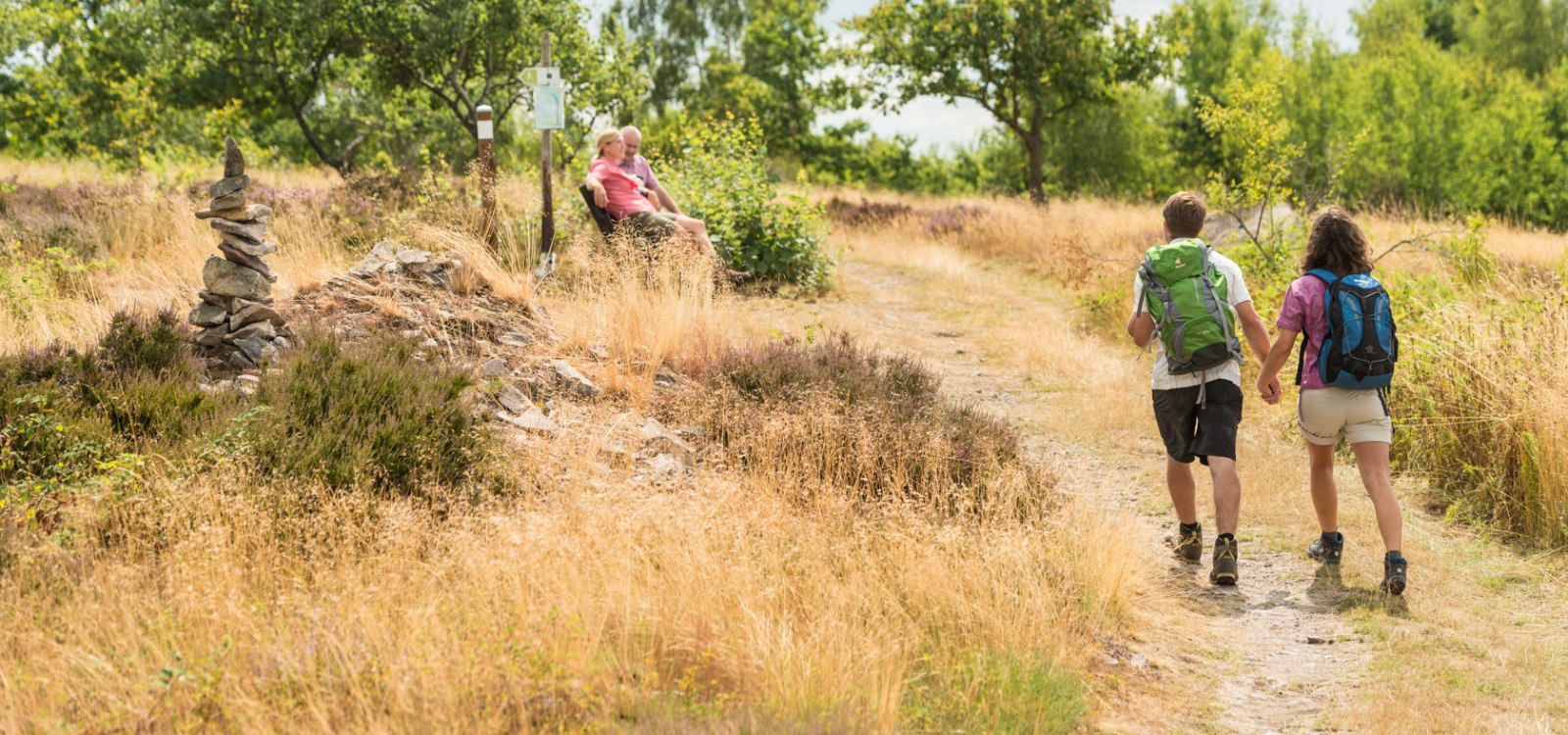 heideflaechen-bei-siefersheim_hiwweltour-heideblick heideflaechen-bei-siefersheim_hiwweltour-heideblick