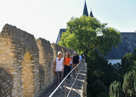 Führung auf dem Wehrgang © Angelika Stehle/Stadt Ingelheim Führung auf dem Wehrgang © Angelika Stehle/Stadt Ingelheim