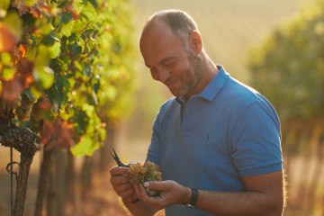 Weingut Dr. Koehler_Christian Dreißigacker, © Weingut Dr. Koehler Weingut Dr. Koehler_Christian Dreißigacker, © Weingut Dr. Koehler