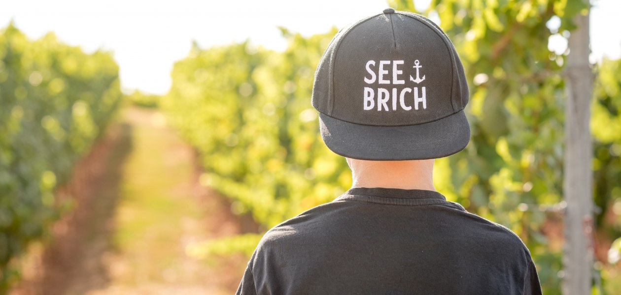 © Weingut Seebrich © Weingut Seebrich